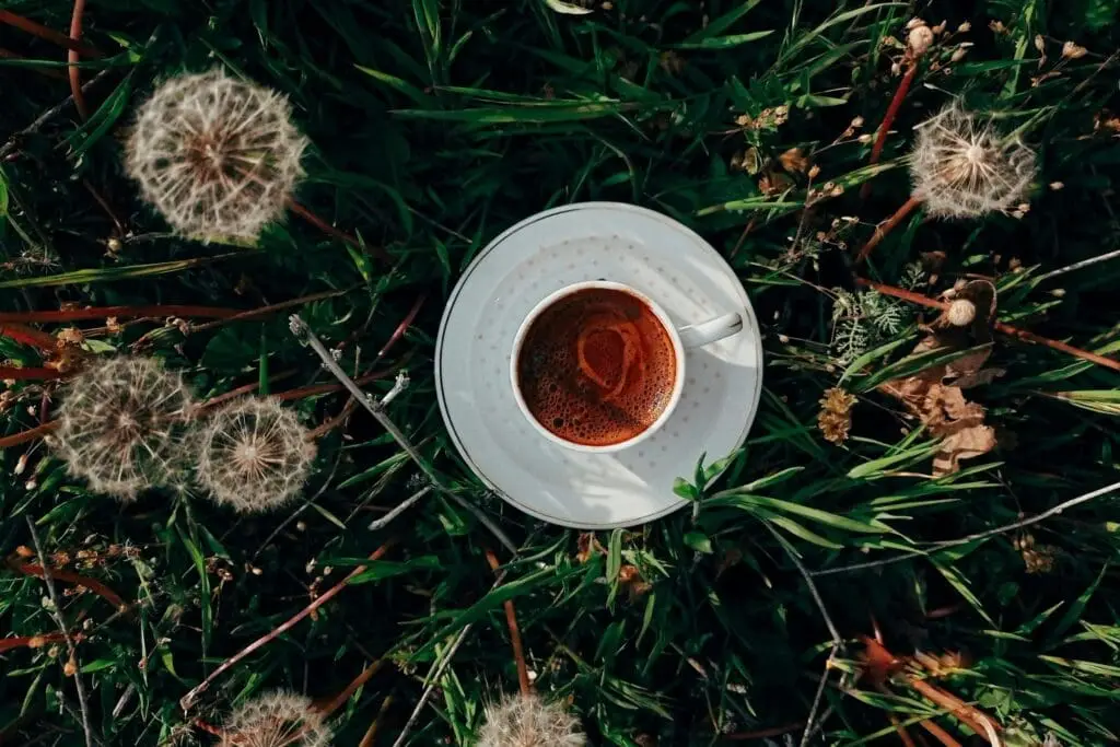Cách Làm Latte Bồ Công Anh