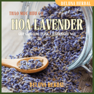 Hoa Oải Hương (Lavender) hữu cơ | Deluna Herbal
