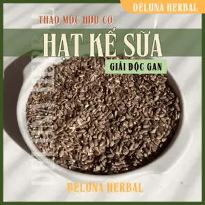 Hạt Kế Sữa (Milk Thistle) hữu cơ | Deluna Herbal