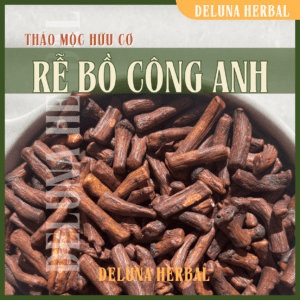 Rễ Bồ Công Anh (Dandelion Root) hữu cơ | Deluna Herbal