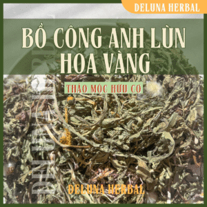 Bồ Công Anh lùn hoa vàng (Dandelion) hữu cơ | Nguyên cây và hoa | Deluna Herbal