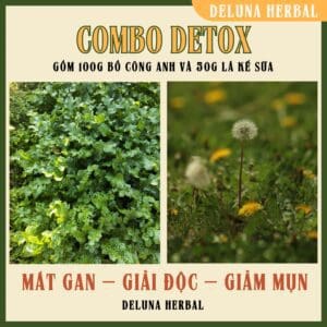 Combo Trà Detox | Deluna Herbal