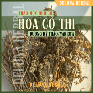 hoa cỏ thi yarrow deluna herbal