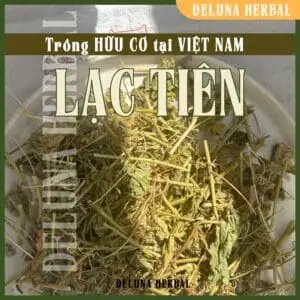 Cây lạc tiên Passionflower phơi âm can | Trồng hữu cơ tại Việt Nam | Deluna Herbal
