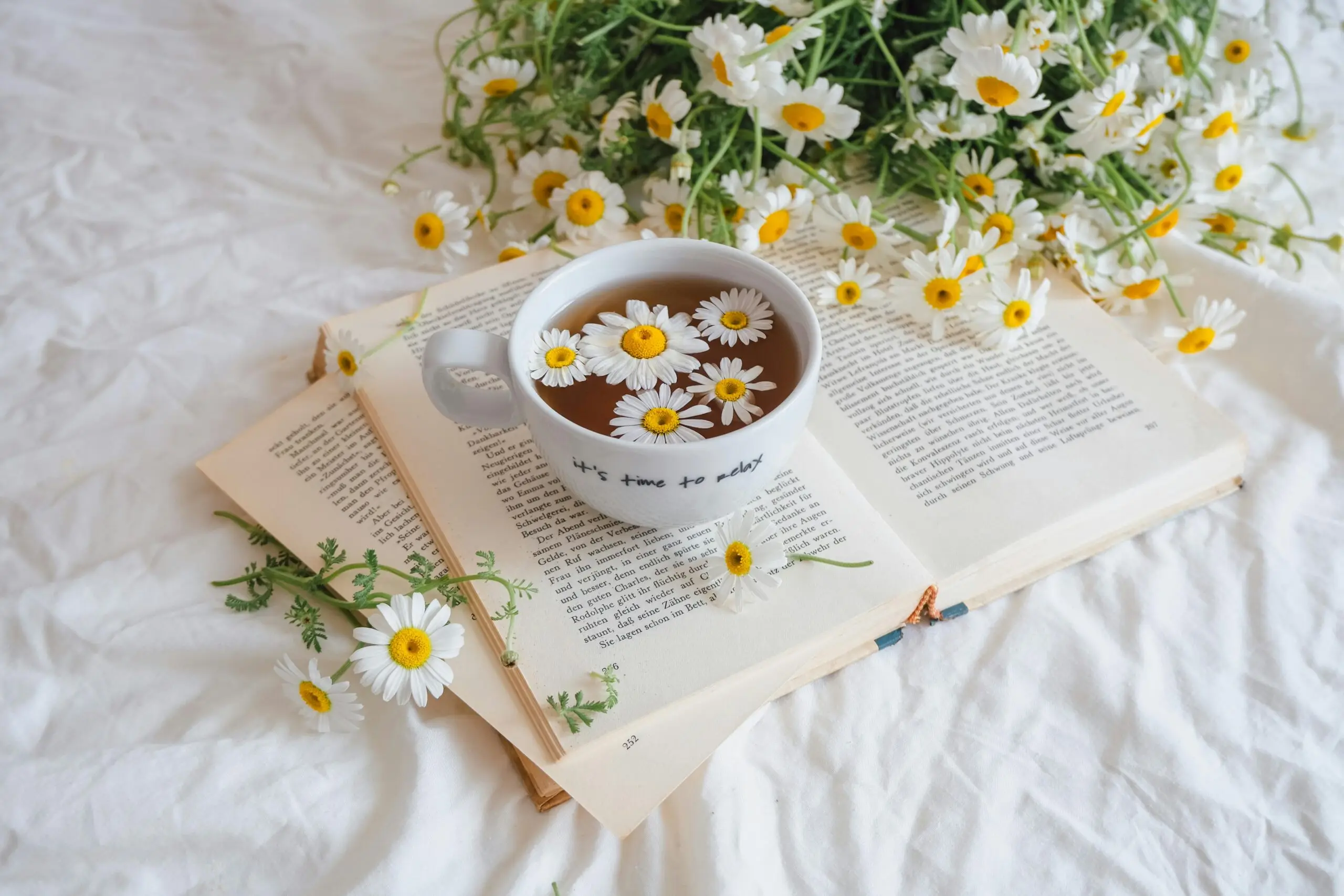 Cách Sử Dụng Cúc La Mã Hiệu Quả