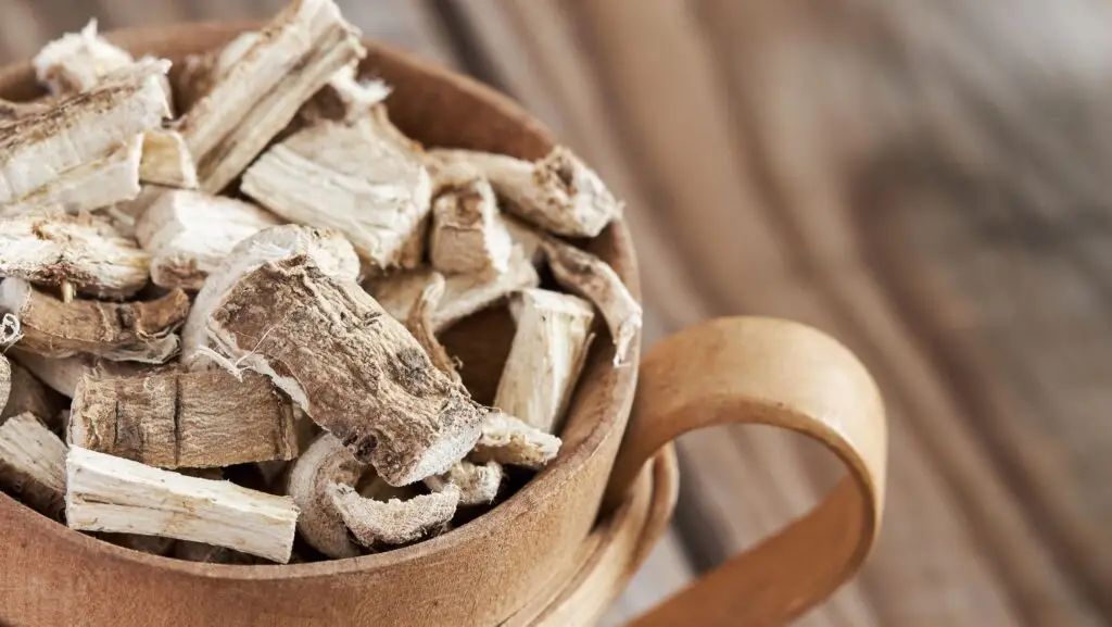 Rễ marshmallow – liệu pháp thiên nhiên giúp vỗ về dạ dày Rễ marshmallow – liệu pháp thiên nhiên giúp vỗ về dạ dày