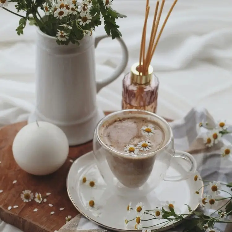 Chữa trào ngược dạ dày bằng thảo dược Chữa trào ngược dạ dày bằng thảo dược