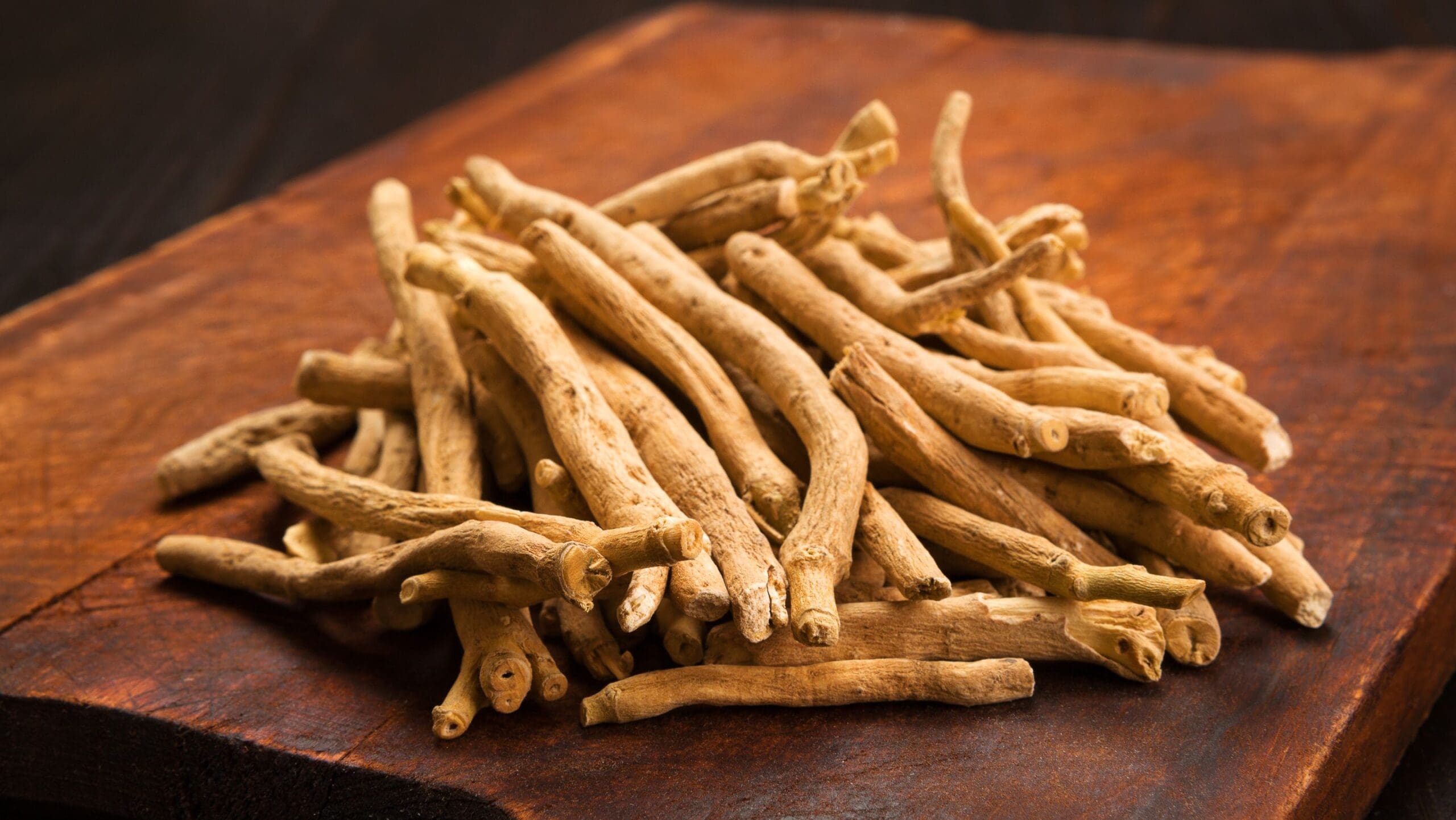 4 cách dùng rễ ashwagandha để ngủ ngon và tăng cường sinh lực 4 cách dùng rễ ashwagandha để ngủ ngon và tăng cường sinh lực